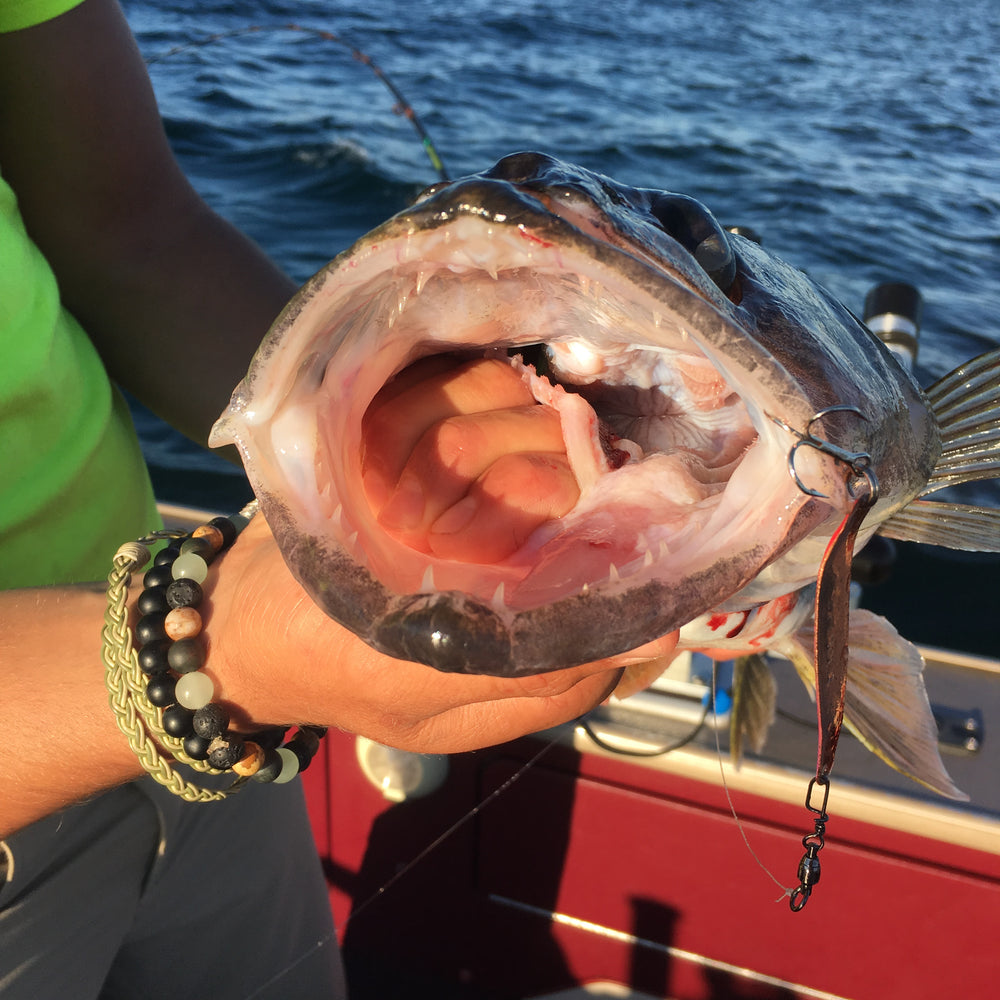 
                      
                        Walleye fishing
                      
                    